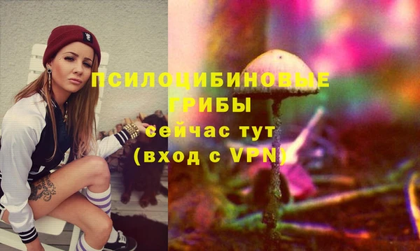 твердый Нязепетровск