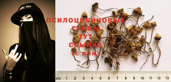 твердый Нязепетровск