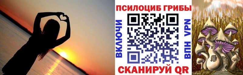 KRAKEN онион  купить наркотики сайты  Янаул  Галлюциногенные грибы ЛСД 